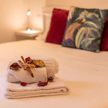 Colosseum Oasis Apartament