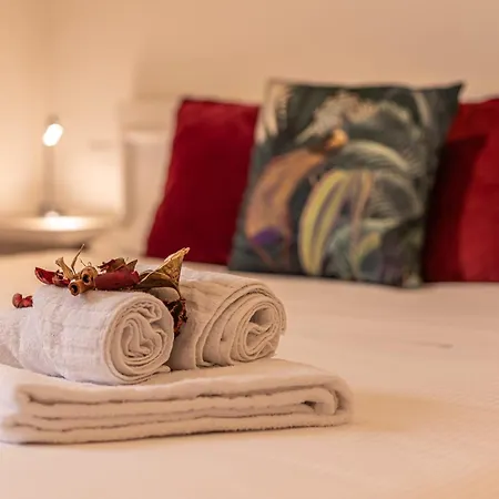 Colosseum Oasis Appartement